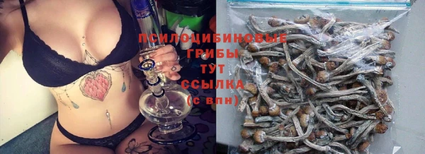 ГАЛЛЮЦИНОГЕННЫЕ ГРИБЫ Бронницы