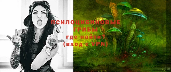 эйфоретик Верея