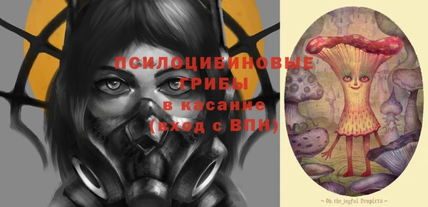 эйфоретик Верея