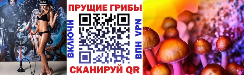 Галлюциногенные грибы Psilocybine cubensis  Кимры 